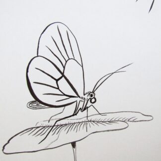 Butterfly Ink Painting -  11" x 8"  Ink on Paper