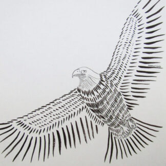 Eagle -  Ink on Paper  -  11" x 8"