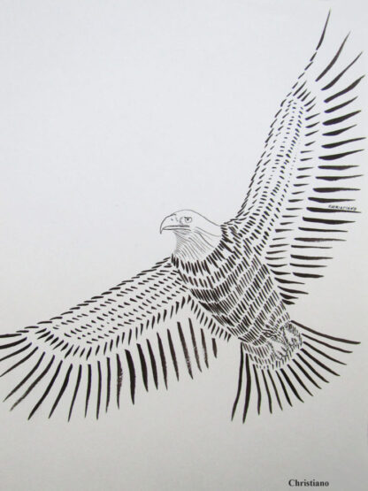 Eagle -  Ink on Paper  -  11" x 8"
