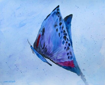 "Butterfly in Blue"  - Watercolor on Paper - 11" x 14" in a 16" x 20" Wooden Frame