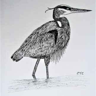Great Blue Heron - 10" x 7" - Pen & Ink