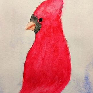 Cardinal - Watercolor on Paper - 7" x 5" in a 10" x 8" matted frame