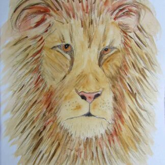 Expressionistic Lion - Watercolor on Paper -  14" x 11"